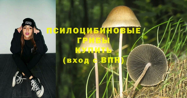 дурь Липки